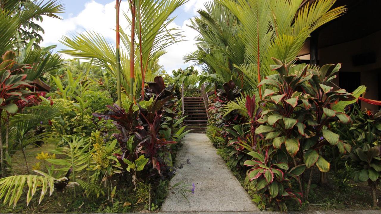 Aunty Arenal Lodge La Fortuna Exterior foto